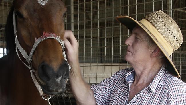 Innisfail horse trainer Greg Strickland was Melbourne Storm fullback Billy Slater's first employer. PICTURE: MATT NICHOLLS.