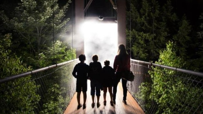 Lumina has applied to construct a night walk in the Mount Coot-Tha Botanic Gardens.