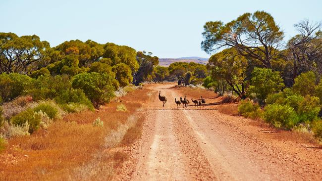 Politicians need to spend more time in regional Australia, Vikki Campion writes. Picture: Maxime Coquard/SATC