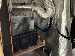 DRUG RAIDS: Search warrants uncover hydroponic set up