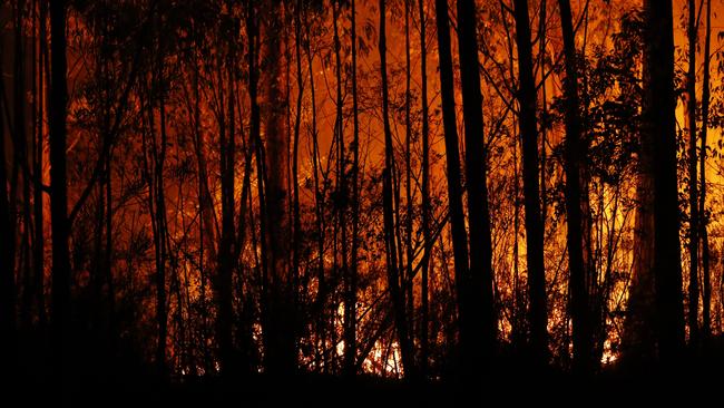 Bushfires rage between the towns of Orbost and Lakes Entrance in east Gippsland.