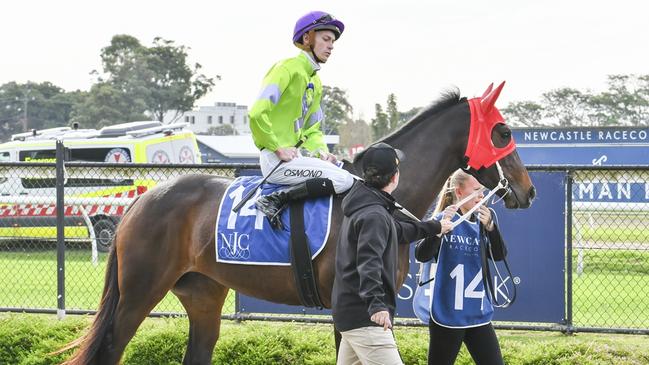 Like Lukey has found the perfect race at Kembla Grange to break his maiden. Picture: Bradley Photos