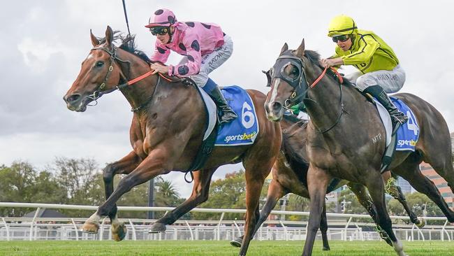 Steel Run can bounce back to winning ways over 2000m at Sandown on Saturday. Picture: Racing Photos via Getty Images.