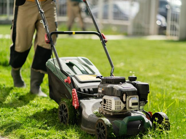 Mowing the grass - BERNARD SALT