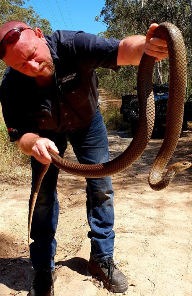 Gold Coast Snake Catcher Tony Harrison. Picture: Facebook.