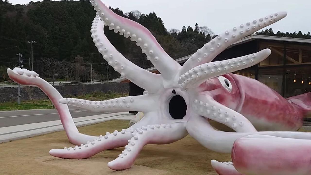 The statue cost $296,000, with money taken from pandemic relief funding. Picture: The Tonarinopoti