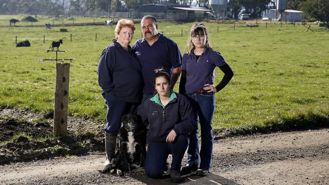 Seeking redress: Vic and Debbie Guastella, with daughters Emmah, 21, and Leesa, 15, at their Hallora farm, where they lost 20 cows after feeding the herd what they say was contaminated feed that caused the animals to lose weight and scour badly. Picture: Yuri Kouzmin