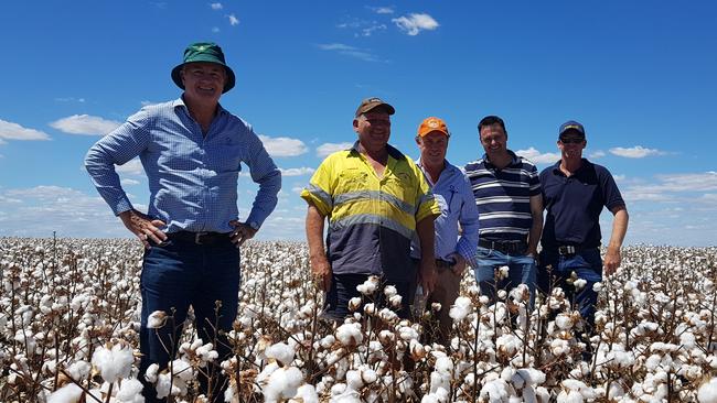 China missed out on Australia’s biggest cotton season ever. Picture: Twitter/AdamKayCotton