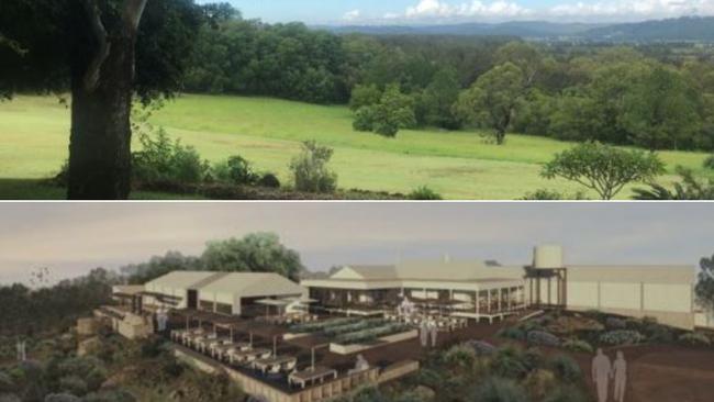 BOLD VISION: Plans have been lodged for an exciting new nature-based tourism venture at Yandina Creek.