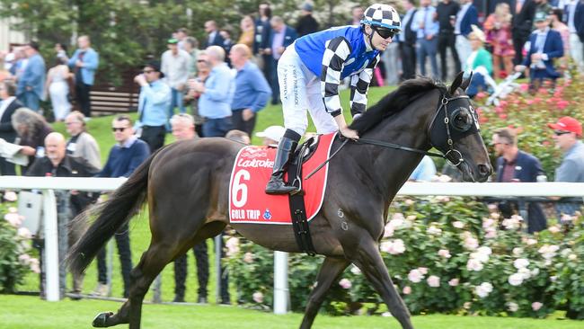 Gold Trip is expected to run a big race in the Melbourne Cup. Picture: Getty Images