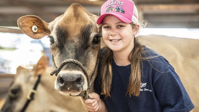 Blaze Barron with Fanta the Jersey cow from Ardylbar Dairies in Cambooya. Toowoomba Royal Show. Picture: Nev Madsen