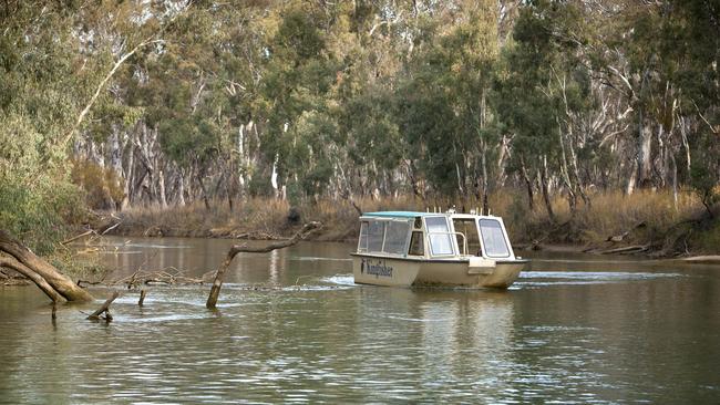 A Kingfisher Cruise through Barmah National Park. Picture: Supplied