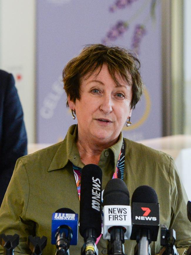 Top SA Health bureaucrat Lesley Dwyer will leave the job later this year after five years as chief executive of the Central Adelaide Local Health Network (CALHN). Picture: NCA NewsWire/Brenton Edwards