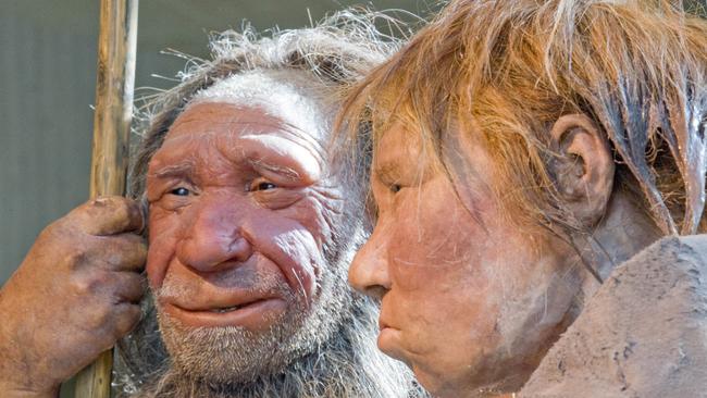 Reconstructions of a Neanderthal man named "N" and woman called "Wilma". Trying to explain cases of ancient cannibalism among our evolutionary forerunners is a vexing scientific challenge. A new study suggests that whatever the reasons, they were probably not hunting each other just for food. Picture: Martin Meissner