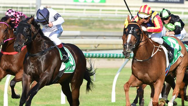 Jonker (white) has finished no worse than second for Tony Gollan. Picture: Grant Peters