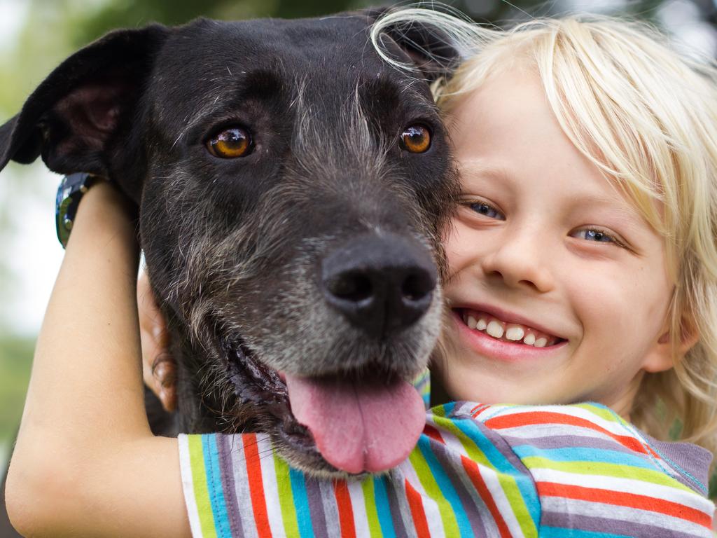 Happy young boy lovingly hugging his pet dog in the park