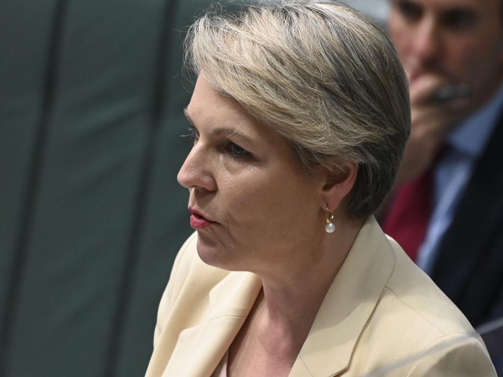 Federal Environment Minister Tanya Plibersek. Picture: NCA NewsWire / Martin Ollman.