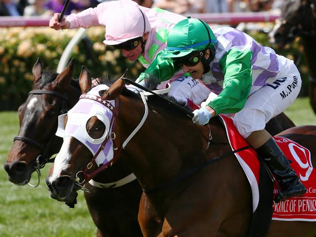 The Melbourne Cup was a nice little earner for Prince Of Penzance as he finished the year with $3.8 million in the pocket. Picture: George Salpigtidis