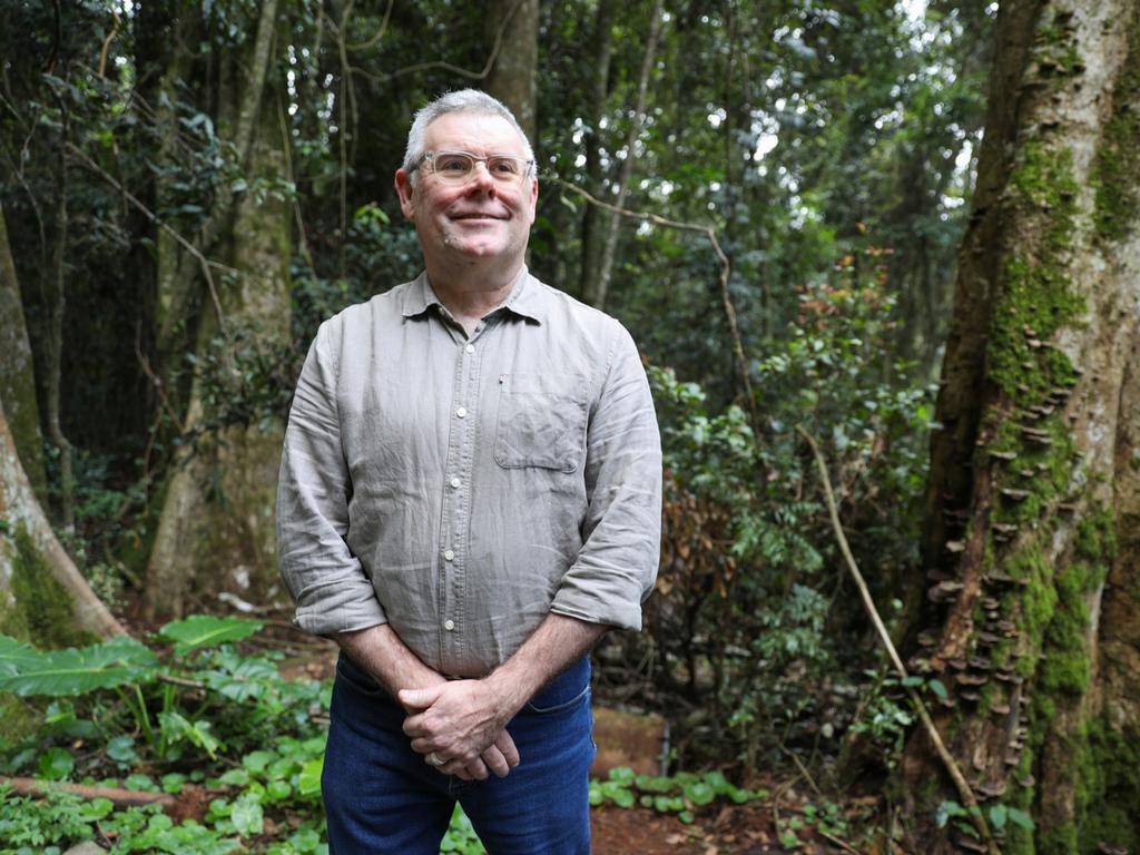 Environment Minister Murray Watt in the Lamington National Park in Queensland. Picture: Supplied