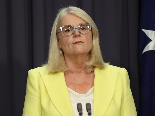 Home Affairs Minister Karen Andrews says the government is weighing up ‘the big picture’. Picture: NCA NewsWire / Gary Ramage