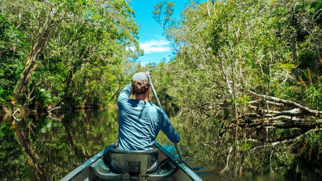 Canoeing in Noosa Everglades.