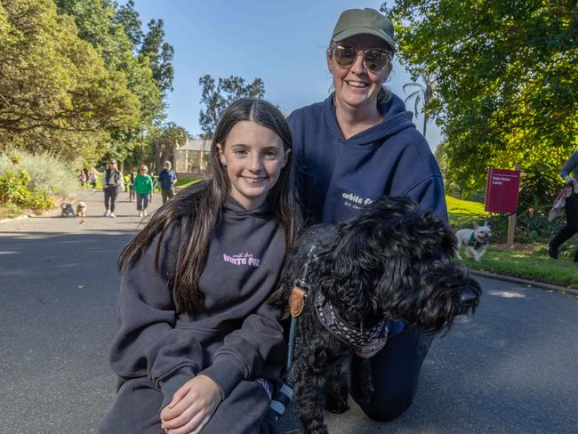 RSPCA SA's Million Paws Walk in Adelaide on May 25, 2025. Picture: Ben Clark