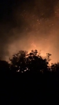 Embers Fly as Firefighters Battle Bushfire in Sydney's Northern Beaches