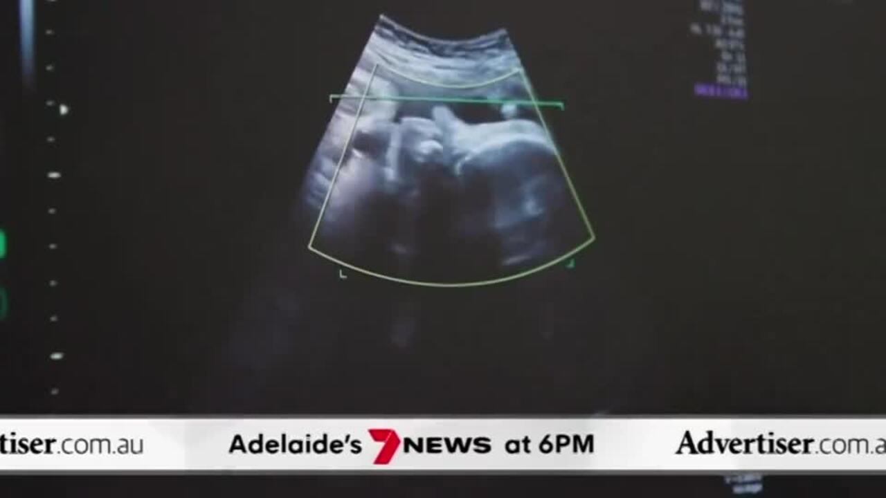 The Advertiser, 7NEWS Adelaide: Tomato industry crisis, Planned abortion rally