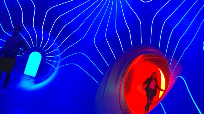 Dodecalis Luminarium. Credit Alan Parkinson