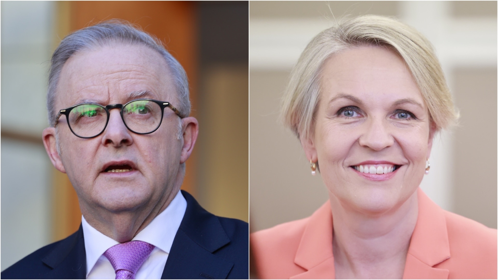 'Very positive': Albanese comments on Plibersek's cabinet move