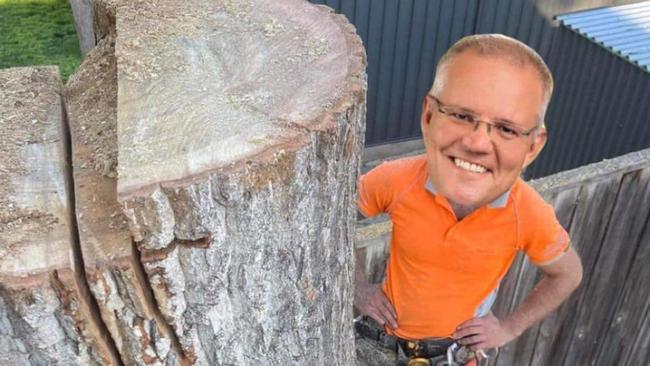 ‘Look who joined the team’: ScoMo mocked