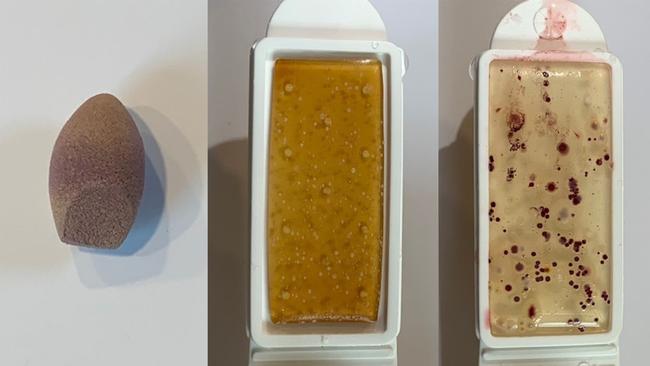 The test results for a concealer blender, showing mould and yeast on the left and bacteria on the right. Picture: Jam Press