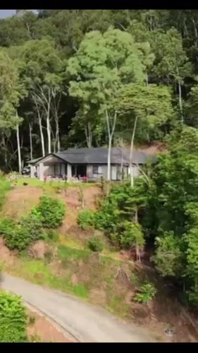 Man and woman found dead at Mount Sheridan property in Cairns