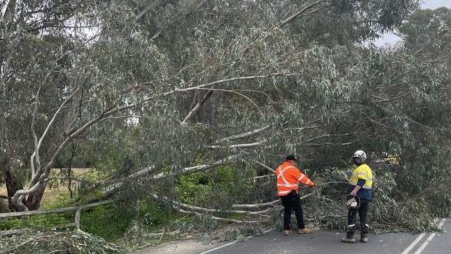 Authorities deal with a fall tree across a road during Victoria’s flooding crisis.