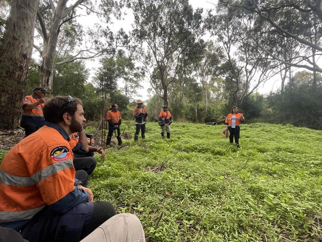 The Centre includes world-leading researchers from across the globe with deep expertise encompassing Indigenous knowledges, Indigenous science, archaeology, history, ecology, palaeoecology, mathematics, modelling, remote sensing and genomics. Photo: Australian Research Council Centre of Excellence for Indigenous and Environmental Histories and Futures