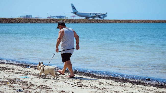 SYDNEY, AUSTRALIA - NewsWire Photos, January 04, 2025.  Commonwealth Beach or Tower beach has been quietly closed over contamination with cancer-causing chemicals :  Picture: NewsWire / Flavio Brancaleone