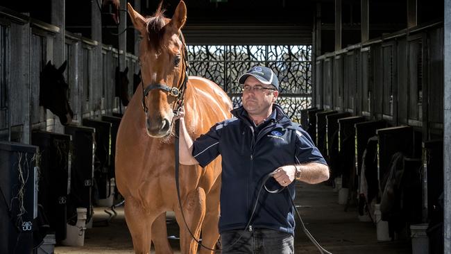 Robbie Griffiths says every trainer wants a level playing field amid the latest allegations of race day doping. Picture: Mark Dadswell