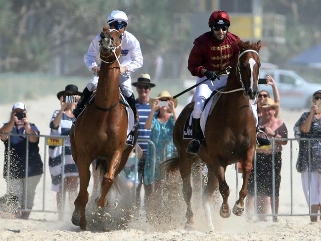Magic Millions barrier draw morning at Surfers Paradise beach.Sheikh Fahad (red silks).Richard Gosling
