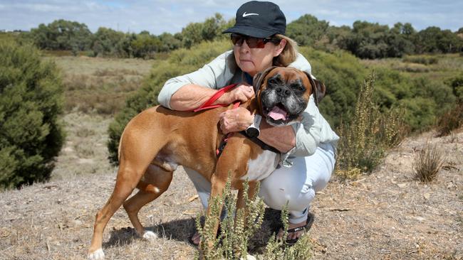 Raylene Main, 72, of Port Noarlunga, with seven-year-old Boxer, Lenny. Picture Dean Martin