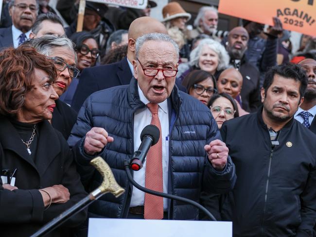 US Senate Majority Leader Chuck Schumer speaks during the We Choose To Fight: Nobody Elected Elon rally earlier this week. Picture: Getty Images