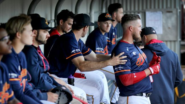 Adelaide Bite players in the dugout during their Australian Baseball League clash with Perth Heat at West Beach. Picture: Dean Martin/AAP