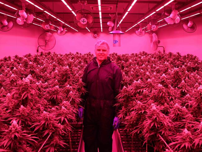 Little Green Pharma chief executive officer Paul Long on a tour of the company's production facility near Busselton, Western Australia. Photo: Charlie Peel