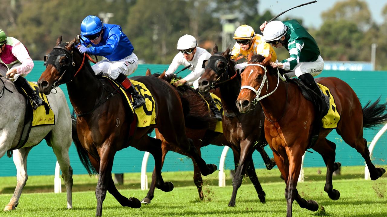 Zebra Finch eyes J J Atkins glory after Rosehill triumph