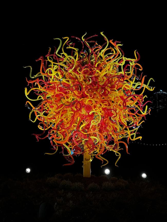 Chihuly Nights at the Botanic Gardens. Picture Facebook