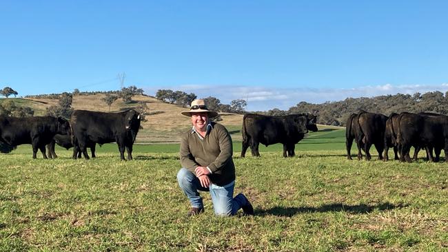 Marc Greening from Injemira Beef Genetics with his Angus bulls.