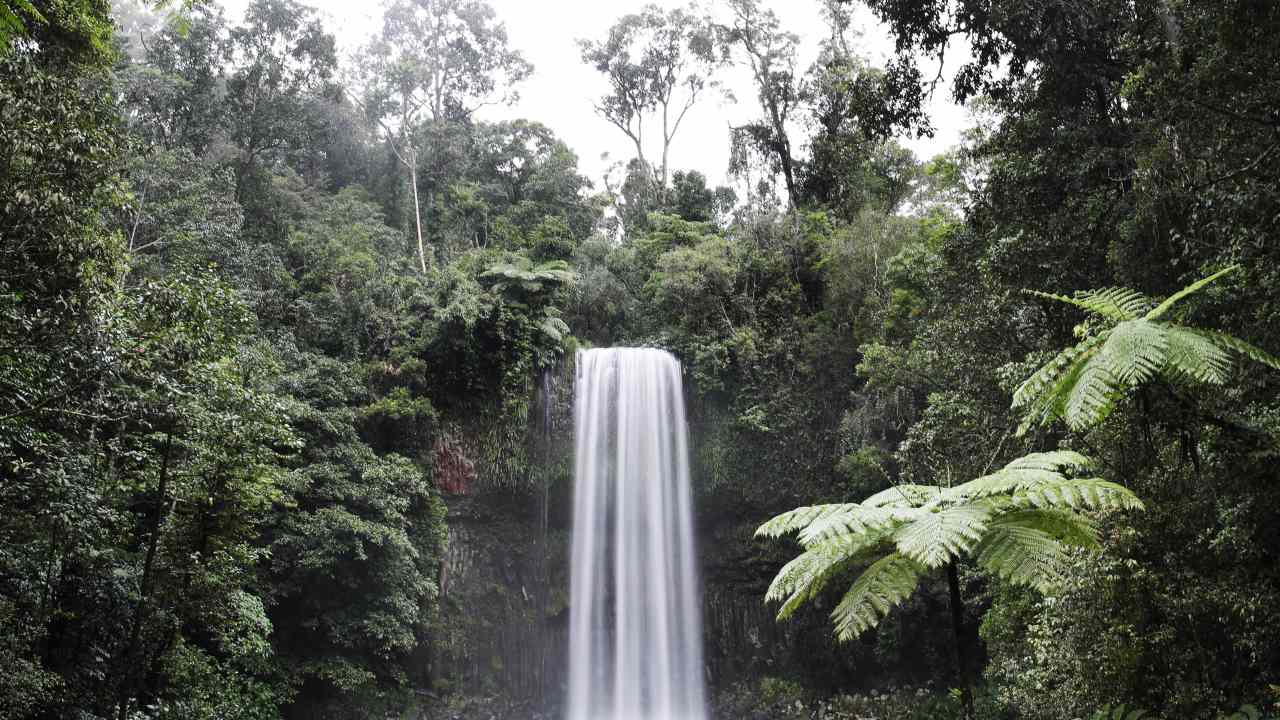 Desperate search for two men feared missing at popular waterfall