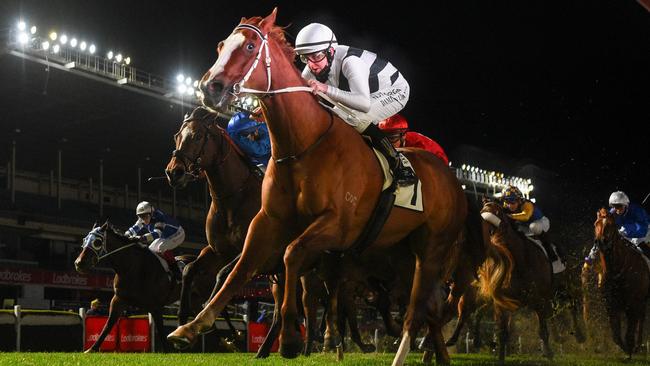 Pippie clears out under the Moonee Valley lights in the Moir Stakes at Moonee Valley. Racing Photos via Getty Images