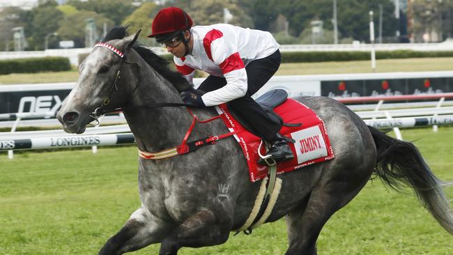 Everest contender Classique Legend returns in The Shorts. Picture: Getty Images