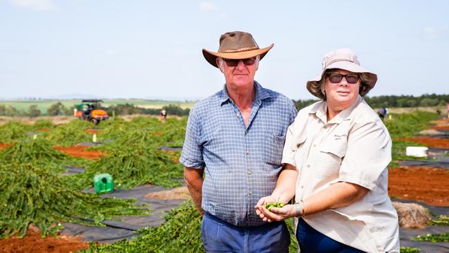Allan and Mandy Evans with their Eureka caper crop. Pictures: Nancy Jayde Photography