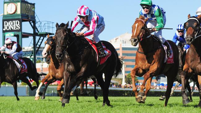 Will Azkadellia bounce back from her Stradbroke Handicap drubbing and claim the final Group 1 of the racing year? Picture: Getty Images